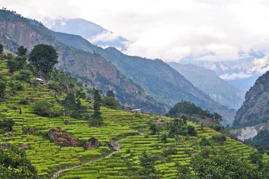 Explore Larkya Peak Climb with activities like Trekking/ High Pass